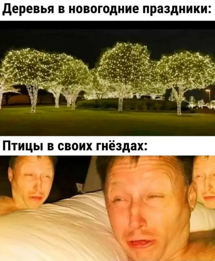 Деревья в новогодние праздники: Птицы в своих гнёздах.