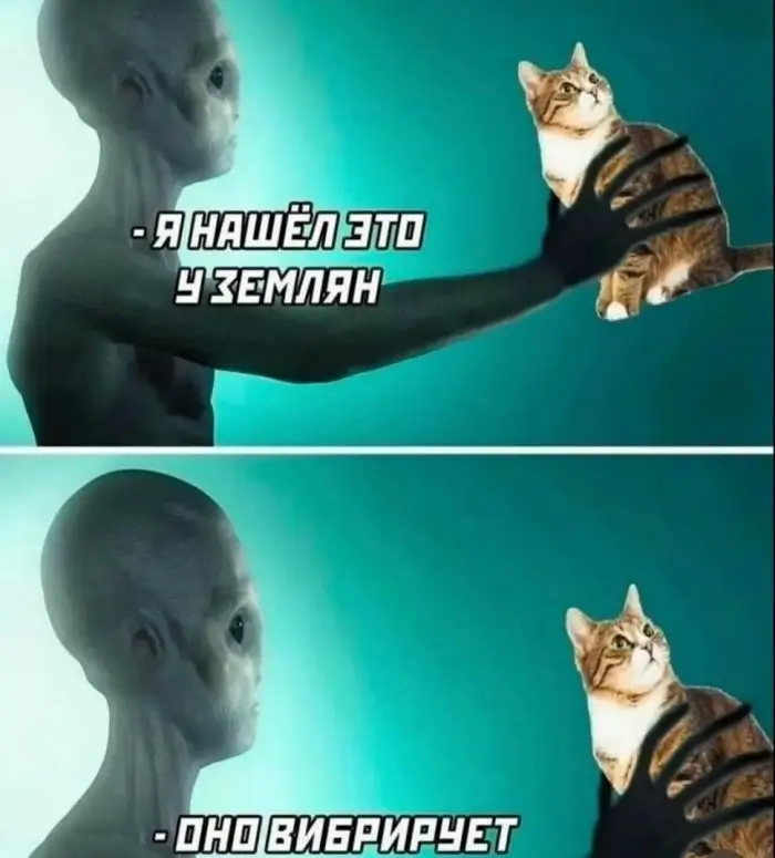 Инопланетян нашёл кошку у землян, и она вибрирует