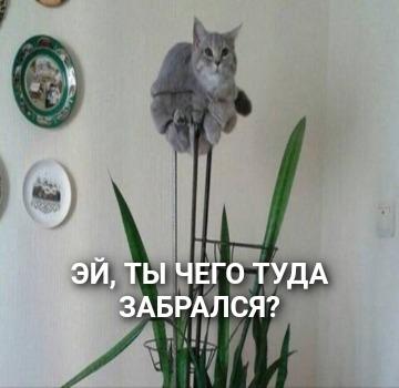 Эй, ты чего туда забрался?