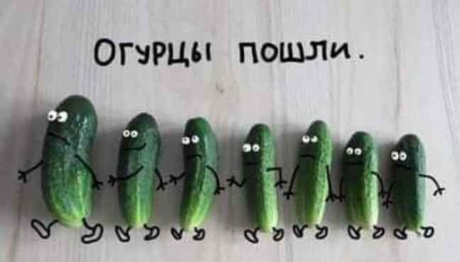 Маринованные огурцы пошли из банки
