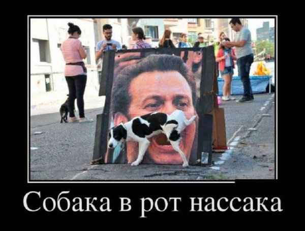 Собака в рот нассака