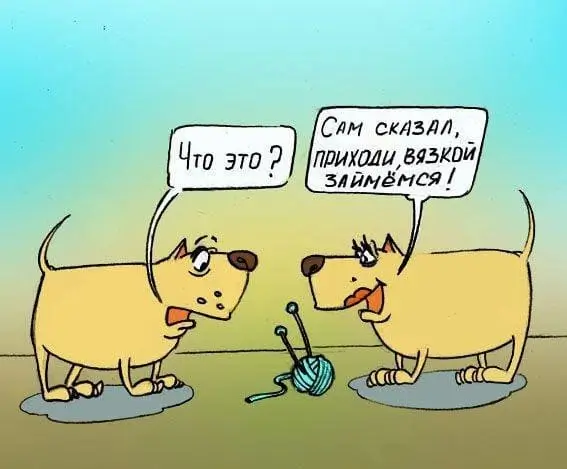 Что это? Сам сказал, приходи, вязкой займёмся!
