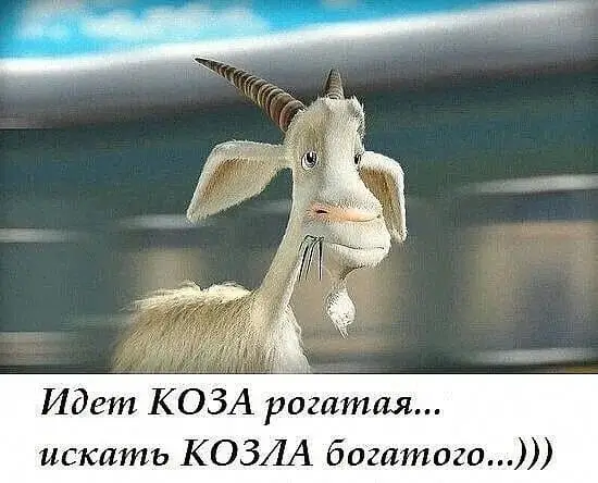 Идет КОЗА рогатая... искать КОЗЛА богатого...