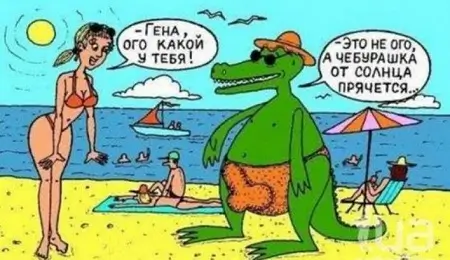 - Гена, ого какой у тебя? - Это не ого, а Чебурашка от солнца прячется