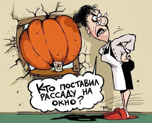 Кто поставил рассаду на окно?