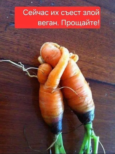 Сейчас их съест злой веган. Прощайте!