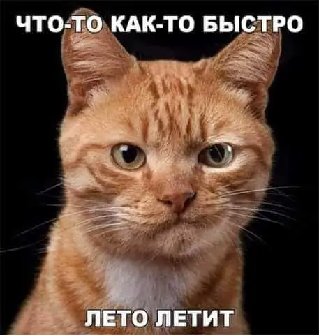 Что-то как-то быстро лето летит