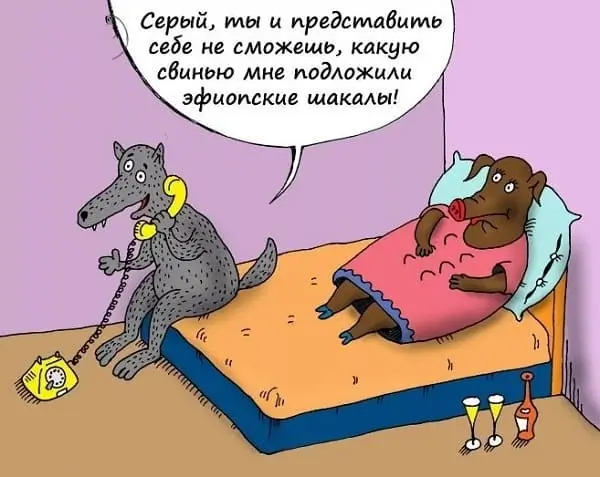 Серый, ты и представить себе не сможешь, какую свинью мне подложили