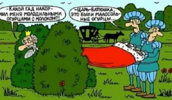 - Какой гад накормил меня молодильными огурцами с молоком?!