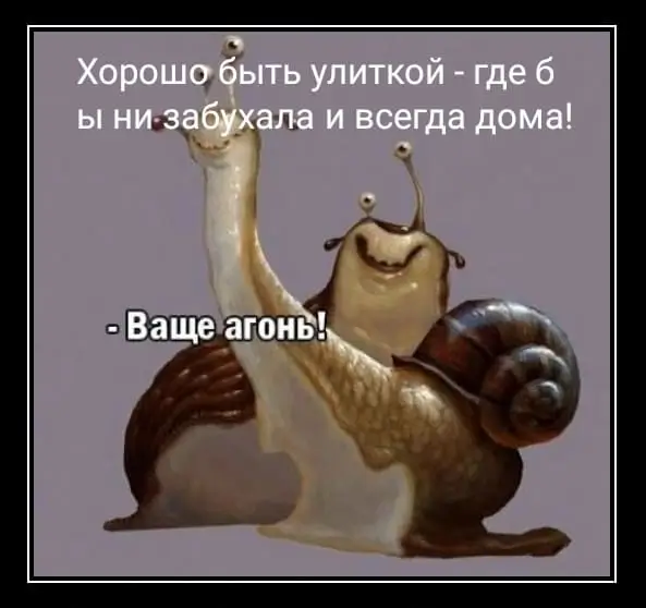 Хорошо быть улиткой - где бы ни забухала и всегда дома!