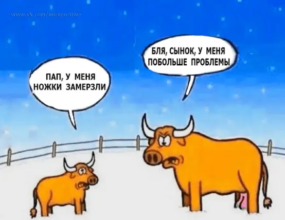 Пап, у меня ножки замерзли. Бля, сынок, у меня побольше проблемы