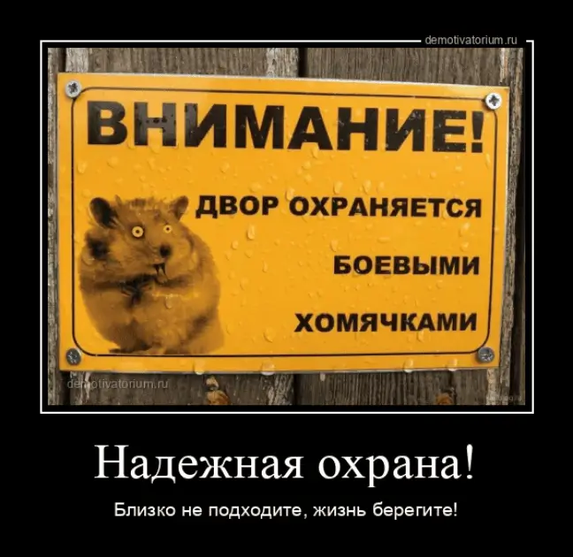 Внимание! Двор охраняется боевыми хомячками. Надежная охрана!