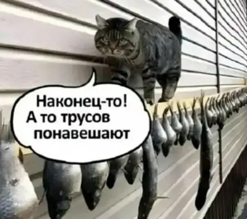 Наконец-то! А то трусов понавешают